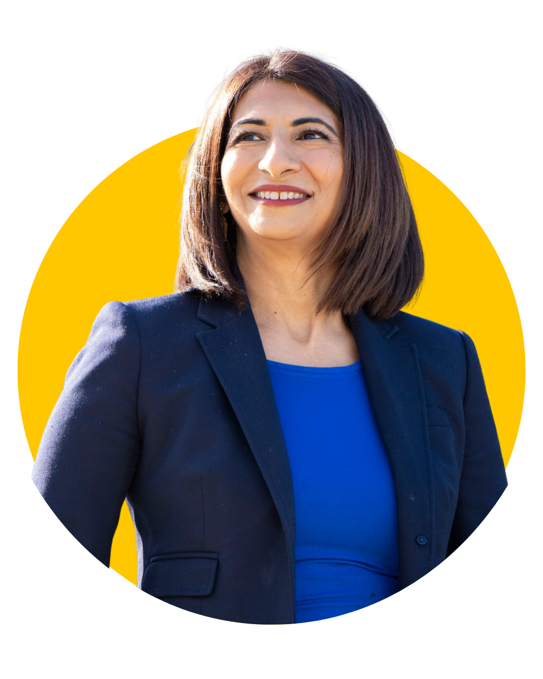 Dipika Damerla, Candidate for Mayor of Mississauga